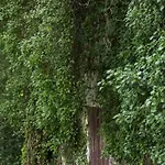 Дом отдыха Maison De Mordoit *