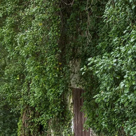 Maison De Mordoit * Pissos