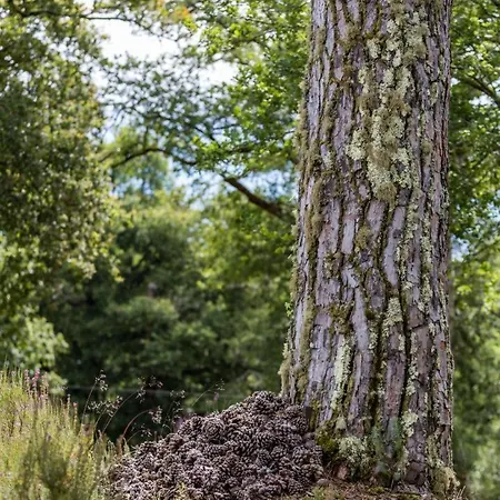 Maison De Mordoit Dom wakacyjny