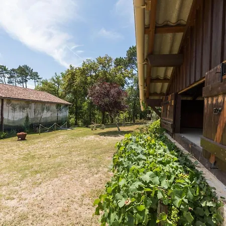 Dom wakacyjny Maison De Mordoit *