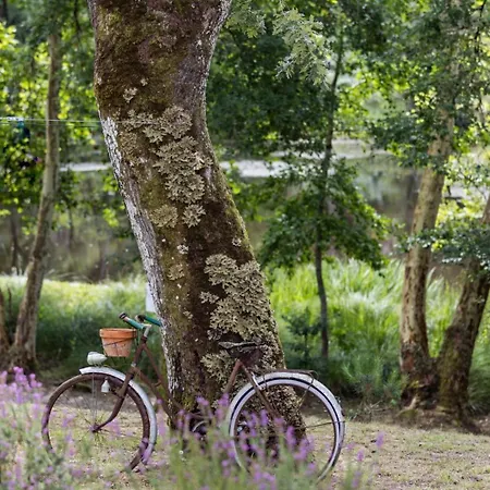 Maison De Mordoit Dom wakacyjny Pissos