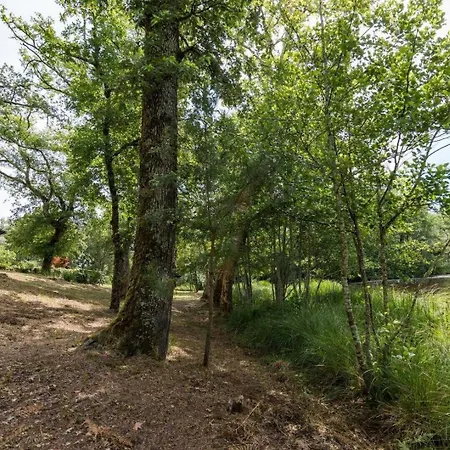 Maison De Mordoit Dom wakacyjny Pissos