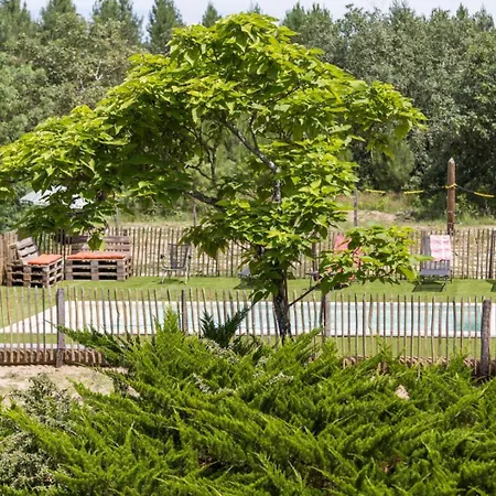 Maison De Mordoit * Pissos