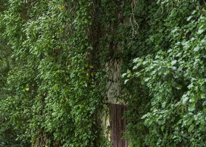 Maison De Mordoit * Pissos