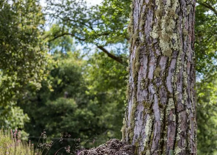 Maison De Mordoit Feriehus