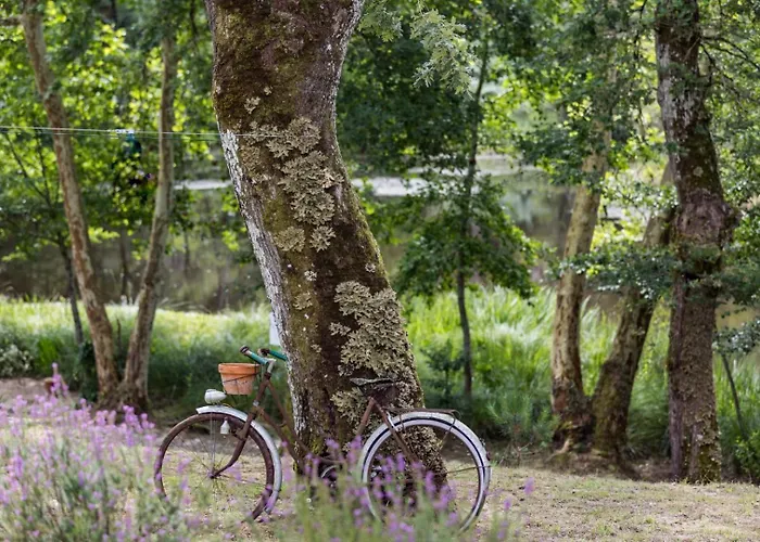 Maison De Mordoit Feriehus Pissos