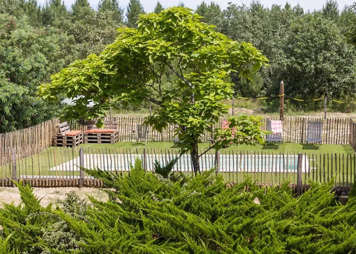 Maison De Mordoit * Pissos